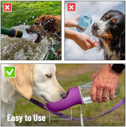 Mr. Pen- Portable Dog Water Bottle, 19 oz, Large - Image 7