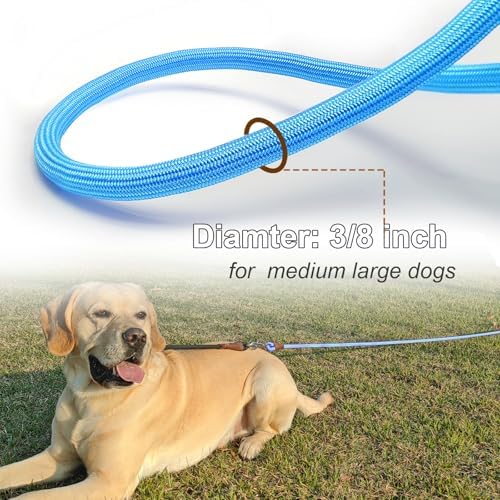30FT Dog Tie Out Leash Long Tether 15ft 20ft 50ft Rope Check Cord - Image 2