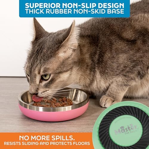 Master Pet Supply Stainless Steel Cat Bowls 9 oz Heavy Duty Pistachio - Image 4