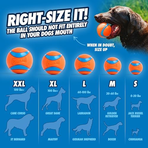 Chuckit! Sport 14S Manual Ball Launcher for Small Dogs - Image 5