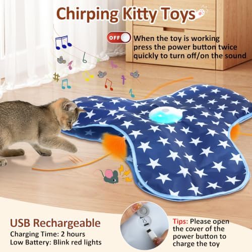 Sofolor Interactive Cat Toy Rechargeable, Cat Exercise Toys for Indoor Cats - Image 5