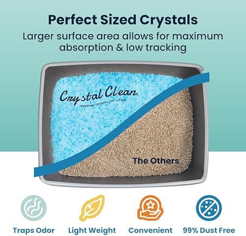 Crystal Clean Premium Fresh Scent Crystal Cat Litter with Odor Control (5X Faster), Best Lightweight, Non Clumping Kitty Litter to Absorb Urine, Dries Solid Waste (2X4.3 Lb Bags) - Image 6