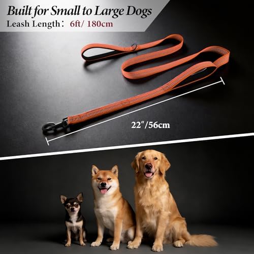 Double Handle Dog Leash, 6 FT Reflective, for Medium Large Dogs - Image 7