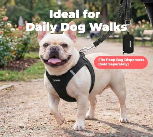 Best Pet Supplies Voyager Nylon Dog Leash - Black, Large - Image 3