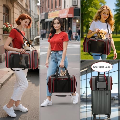 EliteField Soft-Sided Pet Carrier for Cats & Small Dogs (3-Year Warranty) - Image 3