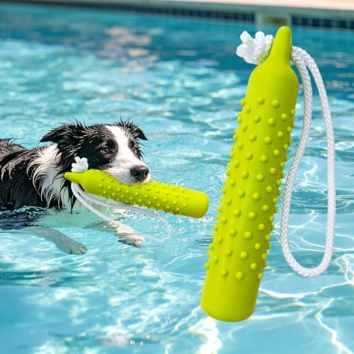 BINGPET Dog Float Bumper Toy,10.8" Lightweight Bumper for Water Fetch Outdoor,Floating Dog Water Toys for Medium Large Dogs,Fetch Rope Pet Toy Dock Diving Retrieving Dummy for Pool/Beach/Lake by BINGPET
