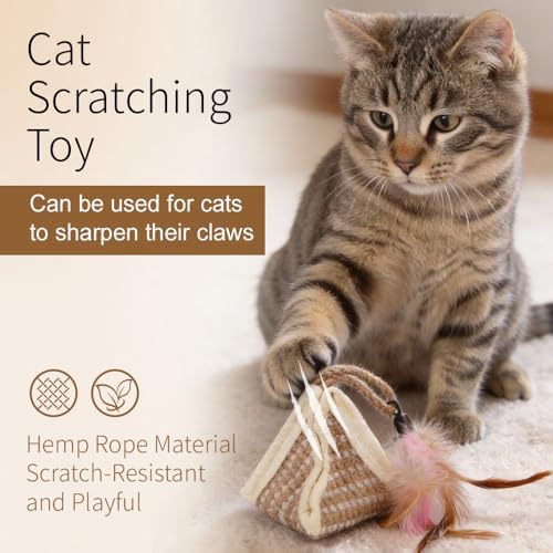 PAZ'S GIFT Cat Toy with Organic Catnip,Feathered Soft Sisal Material, Interactive Scratching and Kicking Chew Toy for Indoor Kittens - Image 5