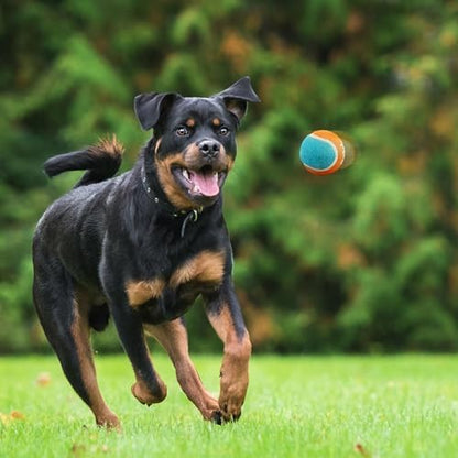 ALL FOR PAWS 2.5" Tennis Balls for Dogs, Dog Balls for Ball Launcher Toy, Bouncy & Durable Fetch Balls for Medium Large Dogs, 4 Pack Fetch Toy for Outdoor Play - Image 6