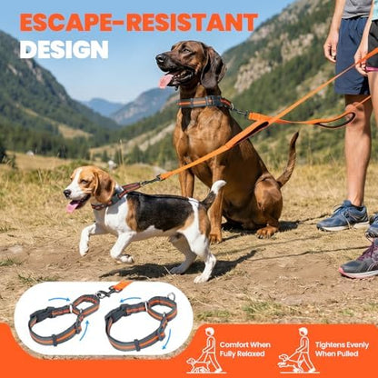 VIVAGLORY Double Handle Dog Leash Twingrip, 5ft x 1in, S, Orange Grey - Image 2