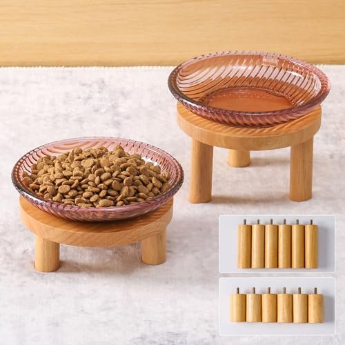 Cat Bowls Whisker Friendly with Wooden Stands. Raised Elevated Glass Whisker Fatigue Cat Bowl for Indoor Cats. 2PCS (Purple) by KGCCIZI