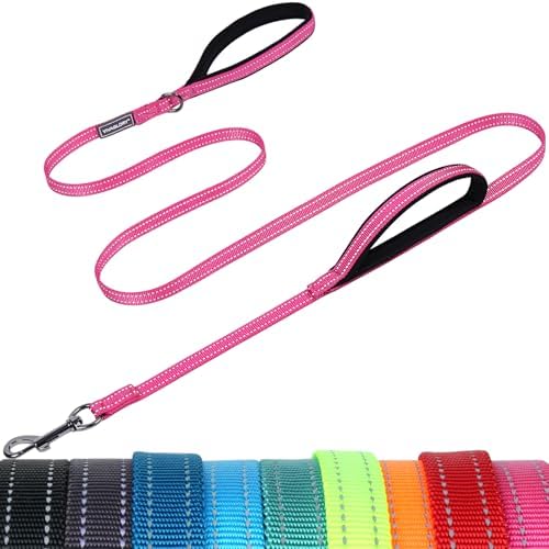VIVAGLORY Double Handle Dog Leash Twingrip, 4ft x 1/2in, Pink by VIVAGLORY