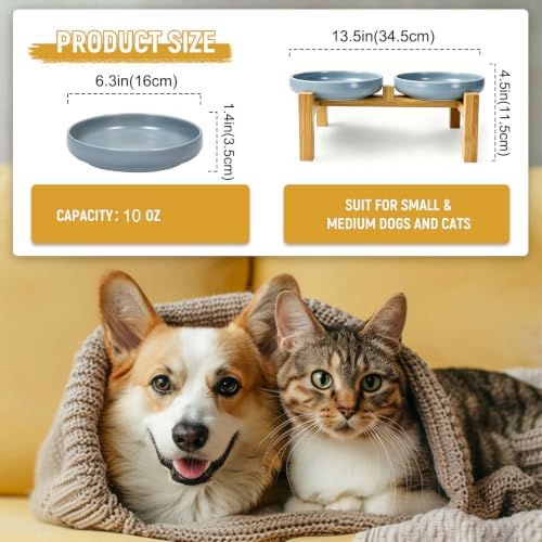 Shallow Elevated Cat Bowls with Bamboo Stand, 6.1 Inch Wide Ceramic Cat Dish Whisker Friendly, 2 Pack Pet Food and Water Plates - Image 2