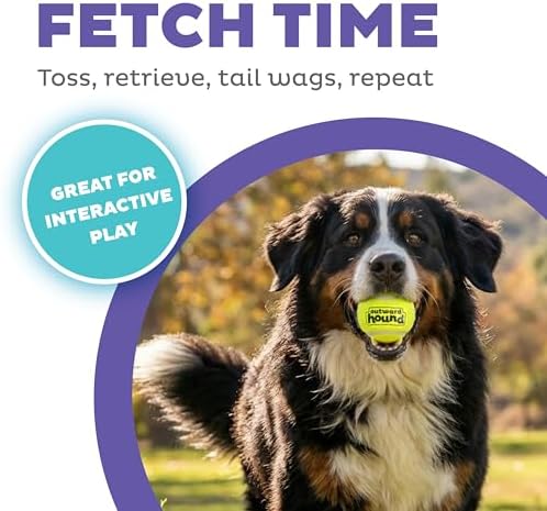 Outward Hound FlyFetch Launch-A-Ball Dog Ball Launcher Toy, 15.5", Medium - Image 2