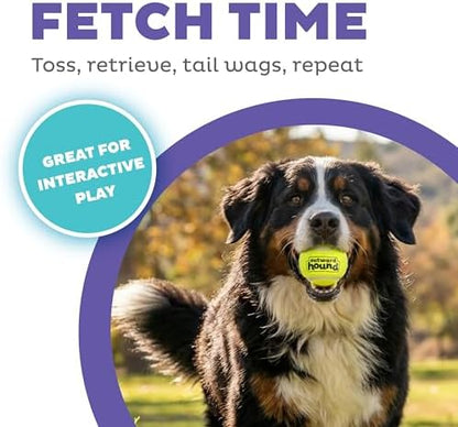 Outward Hound FlyFetch Launch-A-Ball Dog Ball Launcher Toy, 15.5", Medium - Image 2