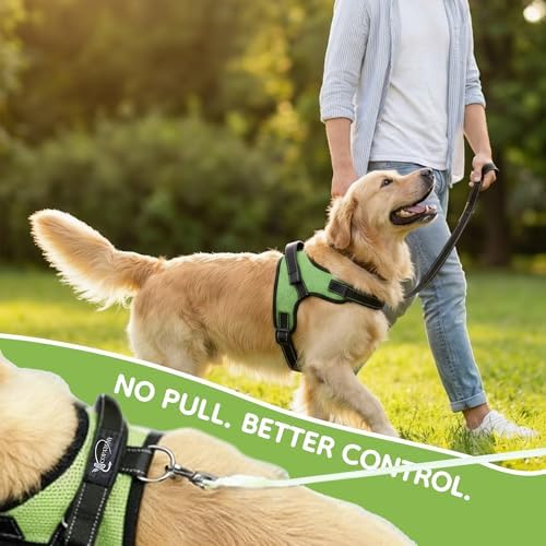 No Pull Reflective Adjustable Dog Harness with Handle- Comfortable Soft All Weather Mesh, Easy On Puppy Harness for Small Medium and Large Dogs (Green) X-Large - Image 6