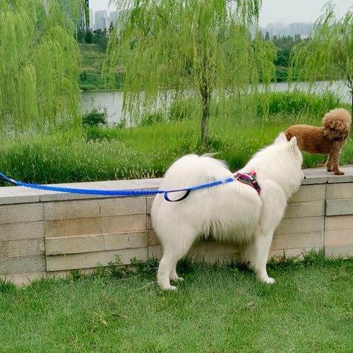 5FT Bungee Dog Leash with 2 Handles, Reflective Nylon Traffic Leash - Image 6