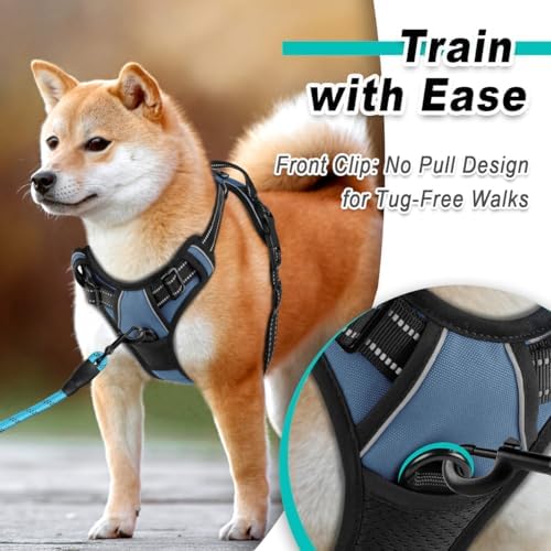 BARKBAY Dog Harness for Small Sized Dog No Pull 2 Leash Clips Dog Vest - Image 2