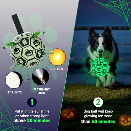 QDAN Glow in The Dark Halloween Dog Toys,Dog Balls with Straps - Image 2