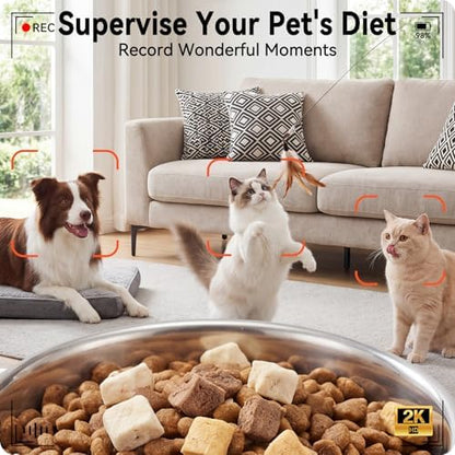 Automatic Cat Feeder with 2K Camera: 5G WiFi Automatic Dog Feeder - Image 2