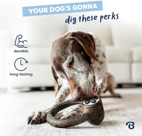 Benebone Ring Dog Chew Toy for Aggressive Chewers, Blueberry, Medium - Image 3