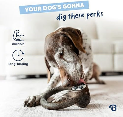 Benebone Ring Dog Chew Toy for Aggressive Chewers, Blueberry, Medium - Image 3