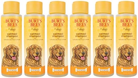 Burt's Bees for Dogs Natural Oatmeal Dog Shampoo | With Colloidal Oat Flour & Honey | Cruelty Free, Sulfate & Paraben Free, pH Balanced for Dogs - Made in USA, 16 Oz - Pack of 6 by BurtsBeesforPets
