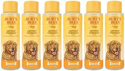 Burt's Bees for Dogs Natural Oatmeal Dog Shampoo | With Colloidal Oat Flour & Honey | Cruelty Free, Sulfate & Paraben Free, pH Balanced for Dogs - Made in USA, 16 Oz - Pack of 6 by BurtsBeesforPets