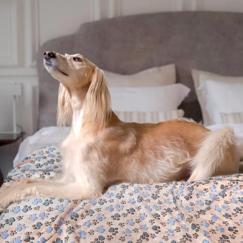Dog Blankets for Large Dogs, 3 Pcs Dog Blanket Washable, Soft Fluffy Flannel Pet Blanket Mat Cover for Bed Couch, Cute Print Puppy Blanket 60" x 50" - Image 7