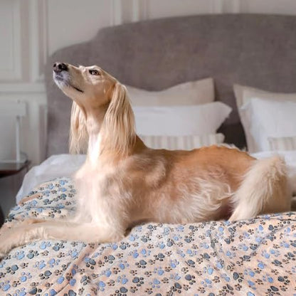 Dog Blankets for Large Dogs, 3 Pcs Dog Blanket Washable, Soft Fluffy Flannel Pet Blanket Mat Cover for Bed Couch, Cute Print Puppy Blanket 60" x 50" - Image 7