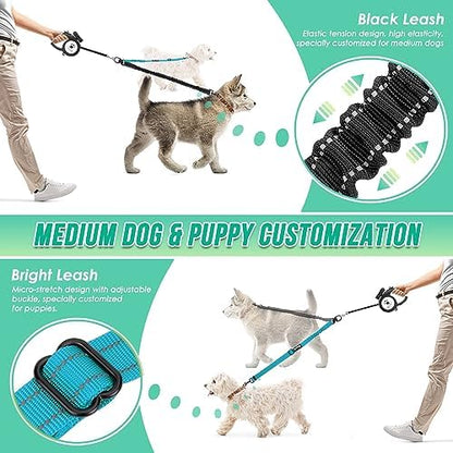 AUTOWT Two Dog Lead, 2 in 1 Upgraded Double Dog Leash Attachment Combine Adjustable Strap and Shock Absorbing Bungee No Tangle Dual Training Splitter for Different Size Dogs - Image 3