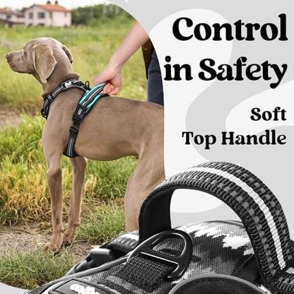 rabbitgoo Dog Harness for Large, Updated Easy On & Off with 3 Buckles - Image 4