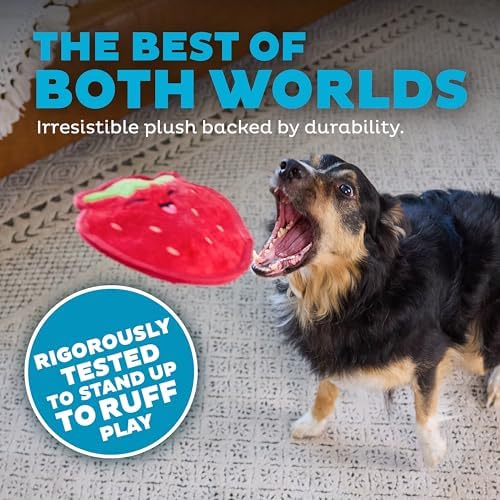 Outward Hound Tough Skinz Durable Chew Squeaky Dog Toy, Strawberry, 7.9" - Image 3