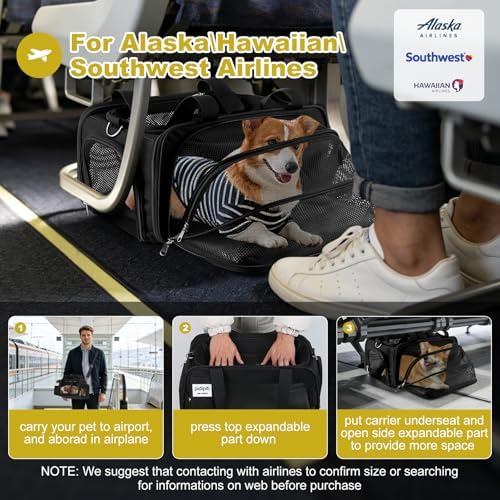 pidipiti 17x11x9.5 Soft-Sided pet Carrier,for Extra-Small Dog or Medium cat - Image 2