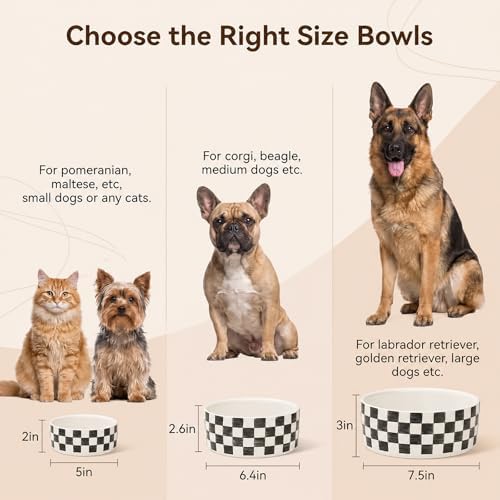 6.4 inch Ceramic Hand Painted Basic Dog Bowl Set of 2 with Anti-Skid Rubber Base, Food and Water Bowls for Small Pets,Black - Image 7