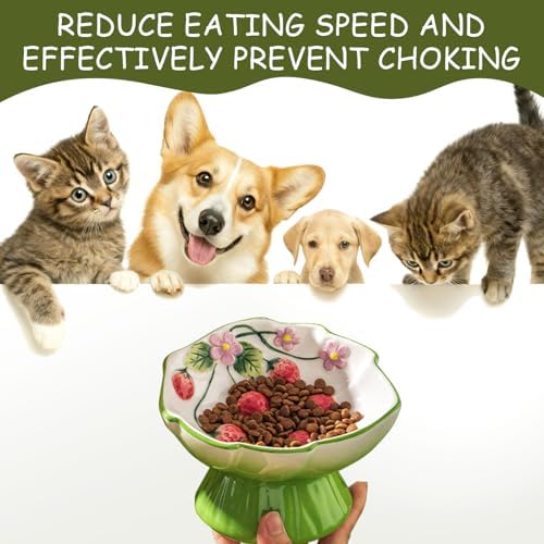 Ceramic Strawberry Elevated Cat Bowls, Tilted Raised Pet Dish for Anti Vomit, Spine Protection, Whisker Friendly - Excellent Raised Food and Water Bowl for Indoor Cats, Flat-Faced Cats (Green) - Image 5