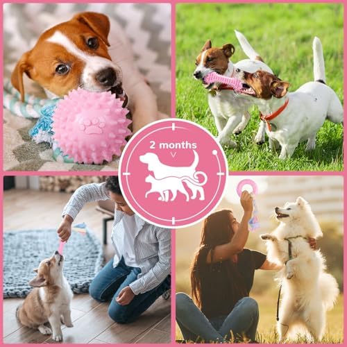Puppy Chew Toys 6 Pack for Small Dogs, Teething Toys for Puppy Easy Clean Rubber Bone Star Stick Donut Slipper Spiky Ball Set for Small Breed Teething Relief (Dogbed not Included) - Image 6