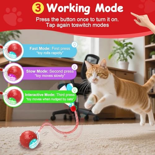Interactive Cat Toys Smart Ball for Cats & Dogs! Now with 2 Rapid Tails. Features: 360°Auto-Rolling, Motion Activation& Bird Sounds. Perfect for Indoor Pet Exercise & Fun. (Blue) - Image 4
