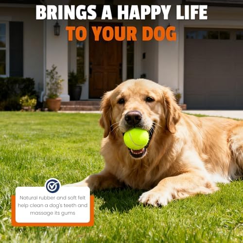 FURWEY Yellow Tennis Balls for Dogs, 2.5 inches, 80 Pack, Non Squeaky - Image 6
