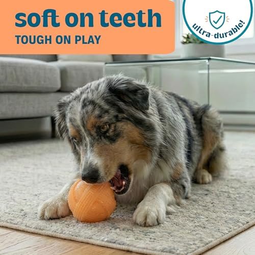 Flex-Force Ball Dog Toy for Fetch & Chew, Multiple Textures, Unpredictable Bounce & Floats, Honey-Peach Scent for Sensory Play, Tough Chewers, Large Breeds (60-100+ lbs), 3.6" - Image 4
