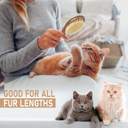 TAKAVU Soft Cat Brush, Natural Boar Bristle for Indoor Kittens - Image 4