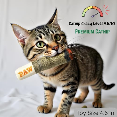 Nestpark Cat Doobie Catnip Cat Toy - Crinkle Kitten Kicker with Extra Strong Catnip - Funny Interactive Cat Toy Indoor Cat Gifts - Image 2
