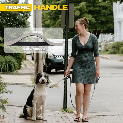 Fida 10 FT Heavy Duty Dog Leash, Dual Padded Handles for Medium Large Dogs - Image 4