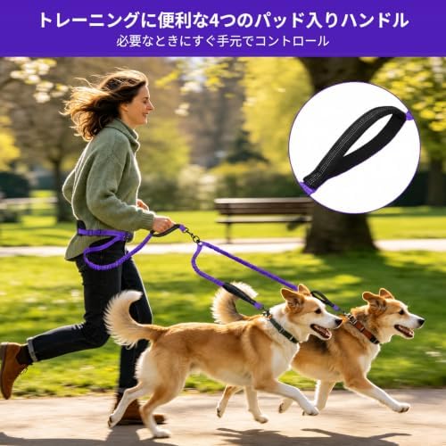 Hands Free Double Dog Leash, 4 Reflective Padded Handles, Adjustable Waist Belt 27-51", Shock-Absorbing Bungee, 360° Swivel Clips, for Small, Medium & Large Dogs, Walking Jogging Running - Image 3