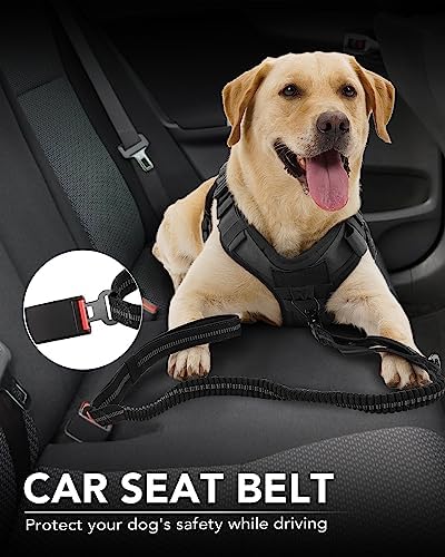 Joytale Tactical Bungee Dog Leash, Shock Absorbing No Pull, Black - Image 4
