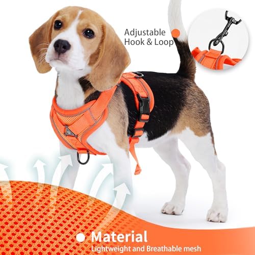 Dog Harness Medium Sized Dog Pet Vest with Leash Set Orange L - Image 4