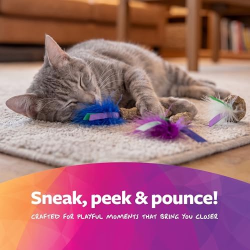 SmartyKat Frisky Fun Compressed Catnip Cat Toys, Set of 3 - Image 5