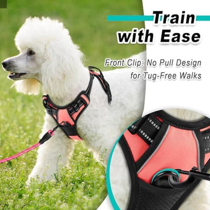 BARKBAY Dog Harness for Small Sized Dog No Pull 2 Leash Clips Dog Vest - Image 2