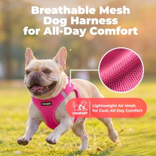 Voyager Step-in Air Dog Vest Harness - Fuchsia, XXX-Small - Image 5