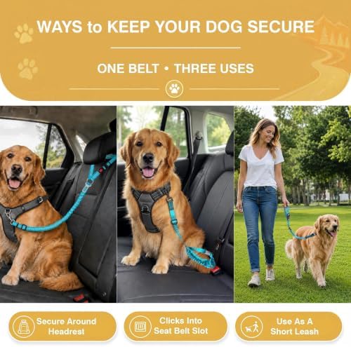 Dog Seat Belt for Car 2 Pack, 3-in-1 Adjustable-Length Bungee Tether - Image 3
