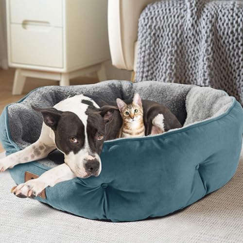 Asvin Medium Dog Bed for Medium Dogs, Cat Beds for Indoor Cats, Pet Bed for Puppy and Kitty, Extra Soft & Machine Washable with Anti-Slip & Water-Resistant Oxford Bottom, Teal, 25 inches - Image 7